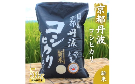 [№5334-0315]令和7年産 京都丹波産 こしひかり 5kg 契約栽培米 白米 精米 お米 こめ コシヒカリ 令和7年 ご飯 ごはん 京都 京都府 南丹市 新米
