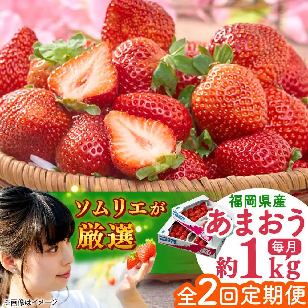 【全2回定期便】福岡産 春あまおう 250g×4P BGAG051 あまおう