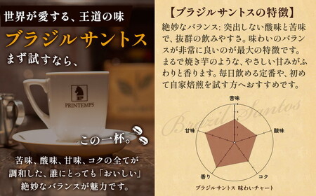 《プランタン珈琲商会 自家焙煎レギュラーコーヒー》 ブラジルサントス 300g×2袋入り(中挽き) 当社で焙煎仕立てのコーヒー豆をお届け！ [1641] | 珈琲豆 珈琲豆