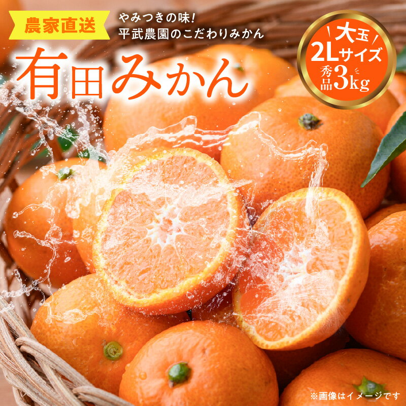 【ふるさと納税】【平武農園より農家直送！】有田みかん 3kg 2Lサイズ《秀品（大玉）》蛍飛ぶ町から旬の便り【ミカン 柑橘 温州みかん 有田みかん 和歌山 有田 田口】