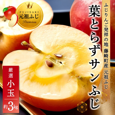 
            葉とらずサンふじ 厳選 小玉 約3kg ご家庭用りんご(訳あり) 青森県産リンゴ 青森林檎【1278838】
          