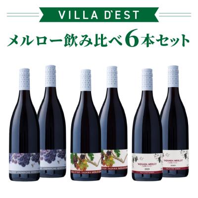 ふるさと納税 東御市 日本ワインコンクール銀賞! メルロー(赤ワイン) 飲み比べ 3種6本セット|ヴィラデスト ワイナリー