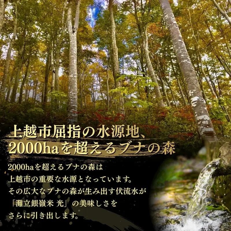 灘立銀嶺米 光 コシヒカリ 精米 10kg 上越産 コシヒカリ