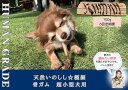 【ふるさと納税】超小型犬向け☆天然いのししの骨ガム100g【定期便】全6回（FB170）