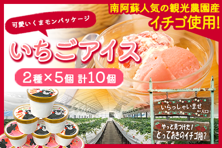 いちご アイス 2種×5個 アイス