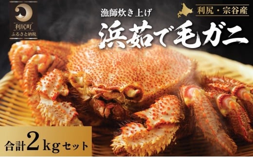 【2026年先行受付】北海道産 浜茹で毛ガニ 合計約2kg（未冷凍・チルド配送）利尻・宗谷産【2月より順次出荷】｜毛蟹 蟹 かに カニ味噌 蟹味噌 ボイル 海鮮 魚介 [1060051]