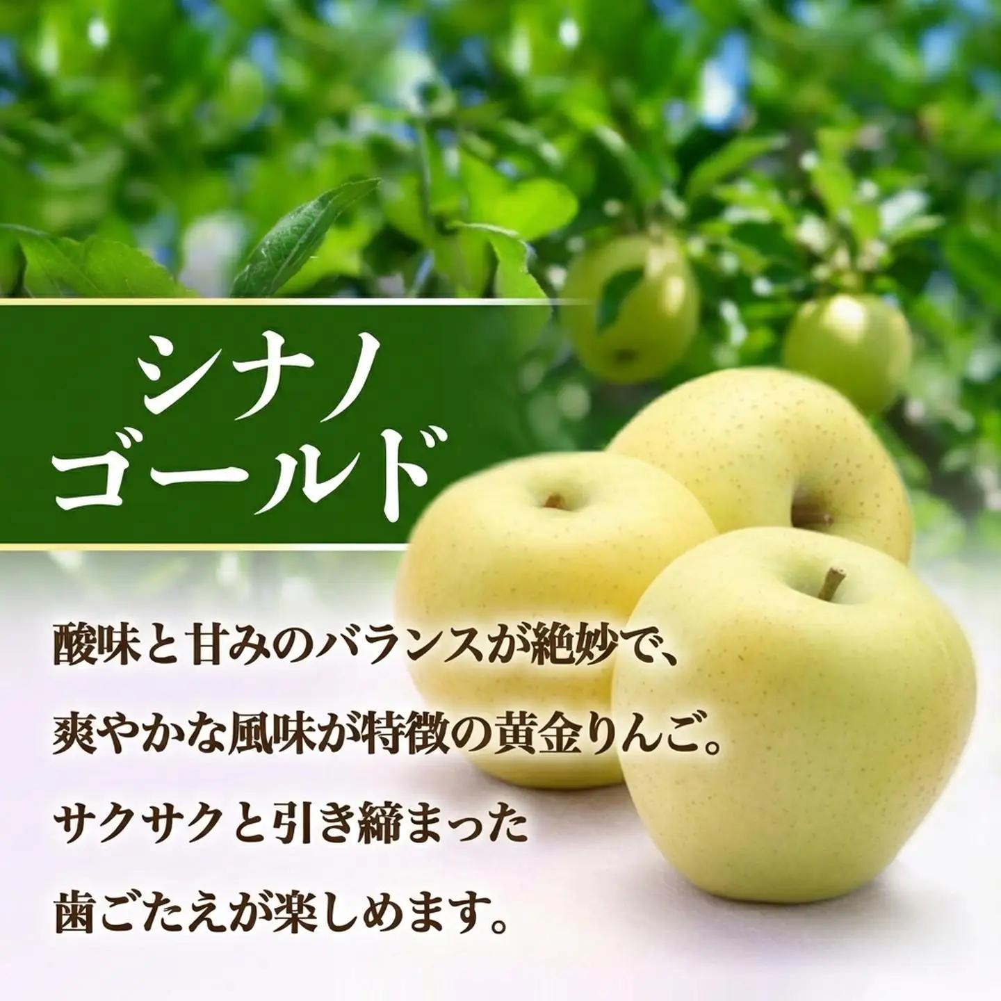 りんご シナノゴールド 約5㎏ りんご 家庭用