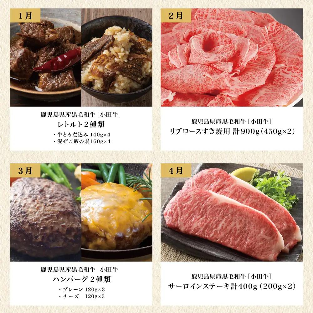 【全12回】プレミアムブランド「小田牛」定期便［～雅～］ 鹿児島県産 黒毛和牛 ステーキ すき焼き 焼肉 焼き肉 BBQ ハンバーグ 餃子 ぎょうざ 焼売 しゅうまい レトルト カレー パスタソース 