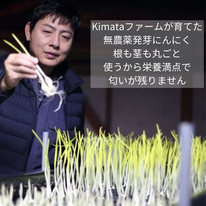 ガリマヨ＆食べるにんにくオイル 食べ比べセット ガリマヨ 2個 食べるにんにくオイル（オリーブオイル） 2個 食べるにんにくオイル（ごま油） 1個 kimataファーム ガーリックオイル にんにく ス