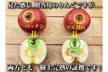 りんご 【 2月～3月上旬発送 】 青森県産 樹上完熟葉とらずふじ 家庭用 厳選品 約 5kg 【 弘前市産 青森りんご 】