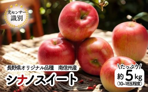 JA13-25A りんご シナノスイート 約5kg / 2025年9月下旬〜10月上旬頃配送予定 // 長野県 贈答 南信州 長野県オリジナル品種 甘い 新鮮 スイート リンゴ 厳選