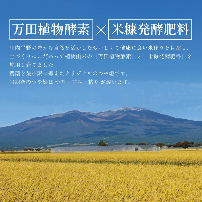SE0511　令和7年産【精米】特別栽培米 つや姫(万田植物酵素・米糠醗酵肥料使用)　10kg(5kg×2袋) 《農産物検査員おすすめの庄内米》 SY