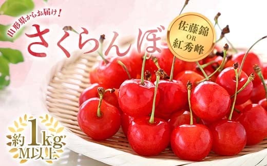 【令和8年産先行予約】 さくらんぼ 「佐藤錦または紅秀峰」 約1㎏ (秀 M以上) バラ詰め 《令和8年6月中旬～発送》 『南陽中央青果市場』 サクランボ 果物 フルーツ 山形県 南陽市 [2582]