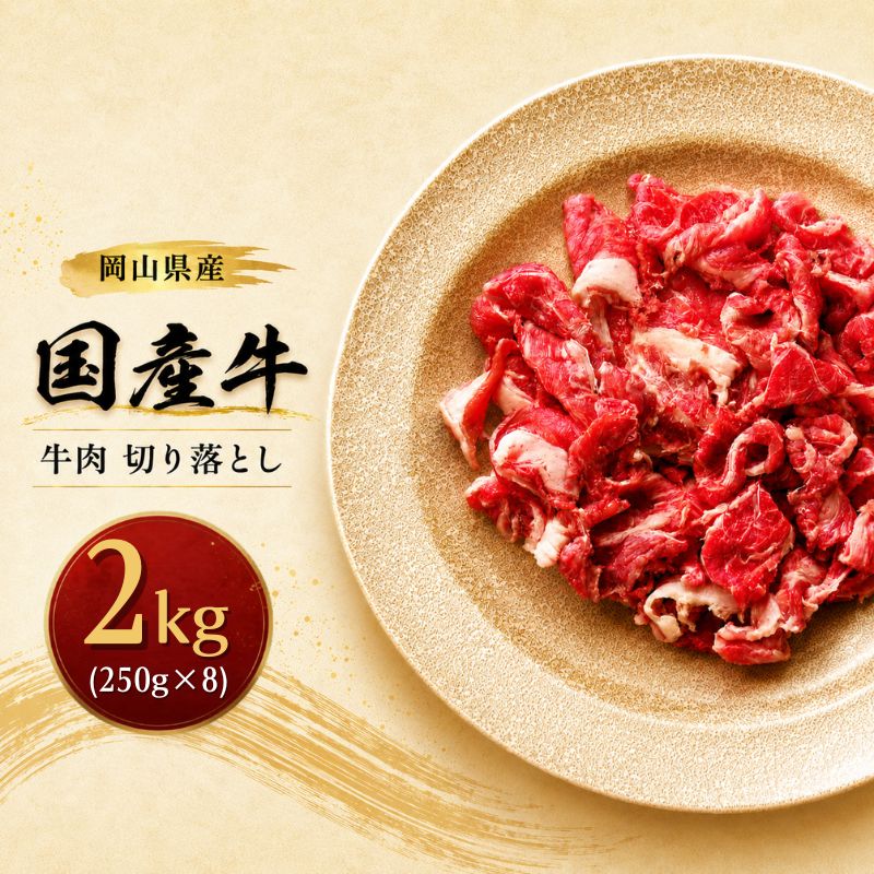 【ふるさと納税】岡山県産 国産牛 牛肉 切り落とし 2kg (250g×8)　岡山県産 国産牛 ギフト お歳暮 プレゼント