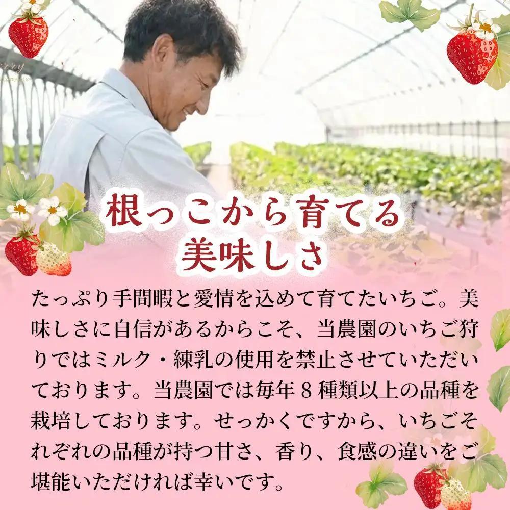 【爽やかな甘酸っぱさ】完熟いちごシャーベット 10個 いちご シャーベット スイーツ 果物 フルーツ 大粒 濃厚 産地直送  ギフト 贈答用 兵庫県 福崎町