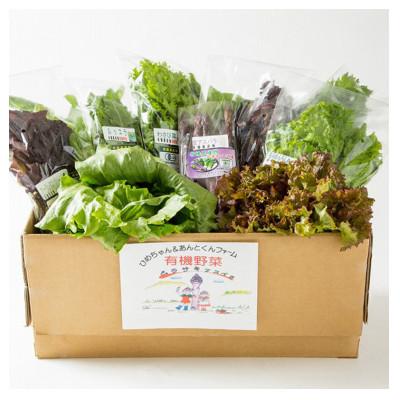 ふるさと納税 北斗市 【JAS認定有機野菜】北斗市産　有機野菜6〜8種類野菜セット 紙箱入(季節で種類が変わります)