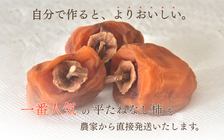 柿 ＼甘さが違う！とっても甘くなる／吊るし柿用 たね無渋柿 T軸又はクリップ付紐付 約2.5～3kg (約9～18玉)【2026年10月中旬～11月上旬ごろ順次発送】【G-art040A】