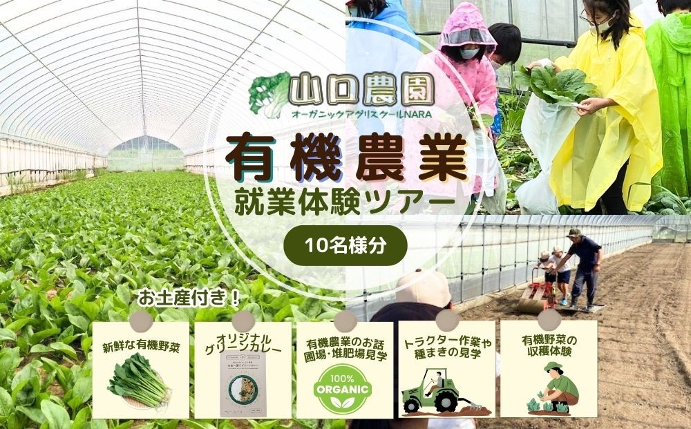 
            有機農業 就業体験 ツアー お土産付  10名様迄／ 収穫体験 種まき トラクター 農家 有機野菜 オーガニック 無農薬 SDGs 関西 チケット カレー 山口農園 奈良県 宇陀市 ふるさと納税
          