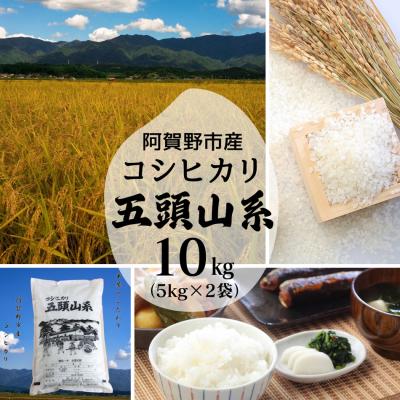 ふるさと納税 阿賀野市 【令和7年産】コシヒカリ 10kg「米屋のこだわり阿賀野市産」 |  | 01