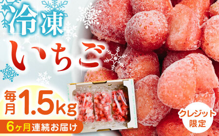 【全6回定期便】【数量限定】 熊本県産 冷凍 いちご 計1.5kg ( 500g × 3P ) 農園直送 産地直送 熊本県産 山都町産 イチゴ 苺 ストロベリー フルーツ 果物 【なかはた農園】[YBI019]