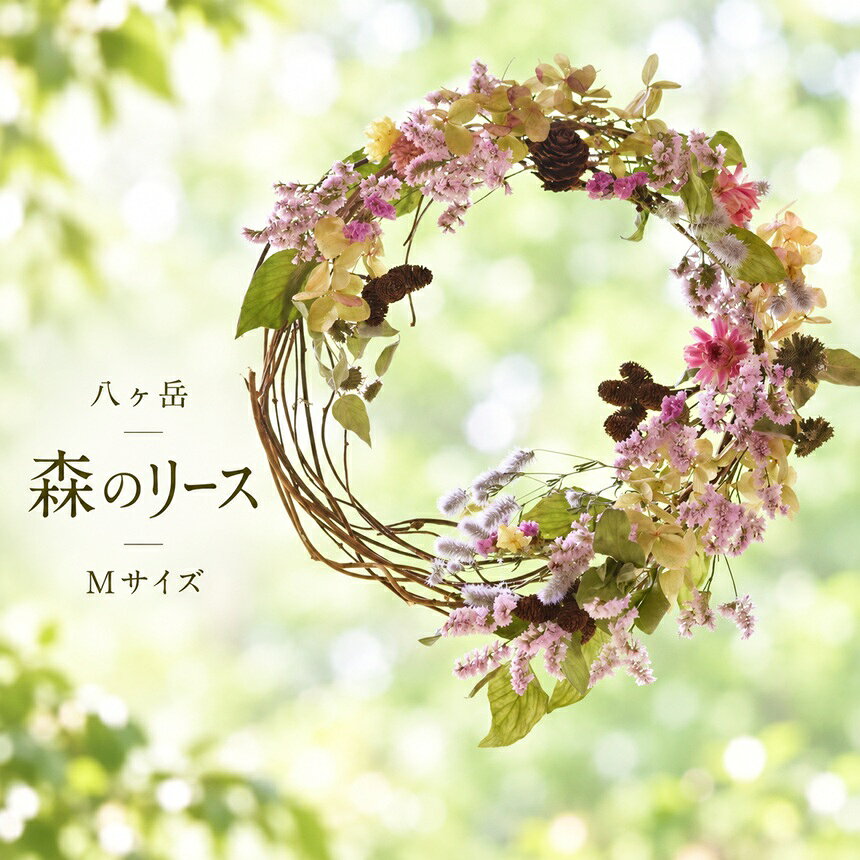 【ふるさと納税】 八ヶ岳　森のリース（Mサイズ） 【選べるカラー】 | ドライフラワー リース 自然 素材 花 インテリア 信州 八ヶ岳 長野県 諏訪郡 原村