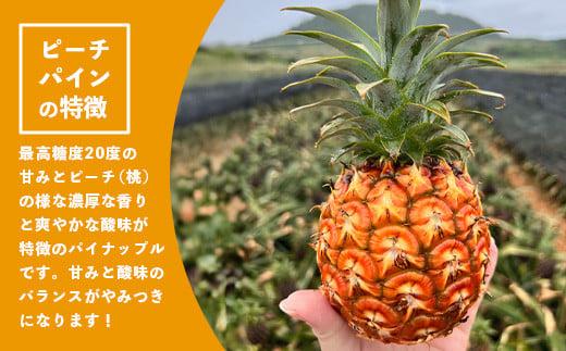 ＜期間限定 春フェア＞《2026年4月以降順次発送》お試し用 ピーチパイン 2玉 (約1.3kg) | 石垣島産 パイナップル 沖縄 石垣島 石垣 八重山 パイン ピーチパイン 数量限定 沖縄県 期間
