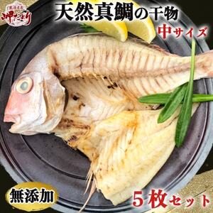 岬だより 大人気 天然真鯛の干物　中サイズ5枚セット [配送不可地域：離島]