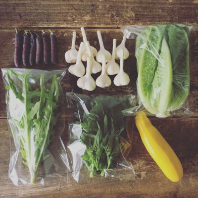 ふるさと納税 五戸町 【五戸町】季節の野菜セットおまかせ詰め合わせ(6〜8種類程度)