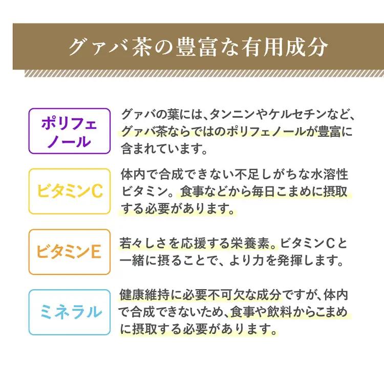 お茶 定期便 グァバ茶 500ml 24本 1ケース 3回 計72本