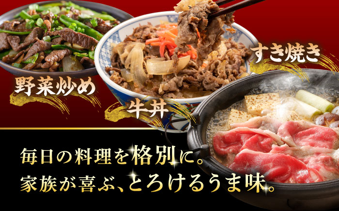 A5等級 飛騨牛 切り落とし 1kg (250g×4P) 瑞浪市 / マルチョウ渡辺精肉店 牛肉 和牛 国産 ギフト お取り寄せ [AZCW002]
