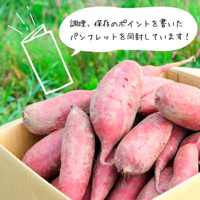 ふるさと納税 新庄市 栽培期間中、農薬・化学肥料不使用　熟成『シルクスイート』 5kg |  | 02