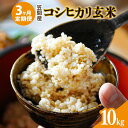 【ふるさと納税】【3カ月定期便】 令和6年度 笠間産 コシヒカリ 10kg (10kg×3回 計30kg) 玄米 お米 米 ご飯 茨城県