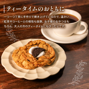 季節限定 焼き菓子 詰め合わせ 10枚 個包装 スイーツ クッキー缶 クッキーボックス アソート セット チャンククッキー サブレ 洋菓子 焼き菓子 お菓子 焼菓子 おやつ プレゼント ギフト お取り