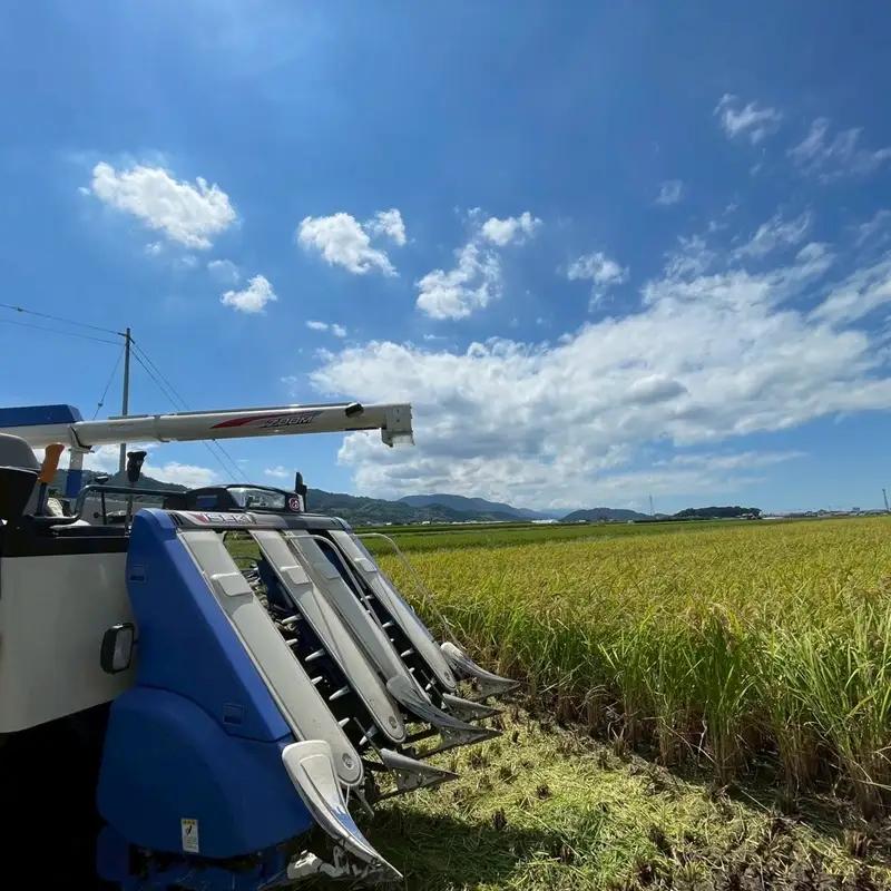お米 令和7年産 5kg ヒノヒカリ 特別栽培米  先行予約  【2025年11月以降発送】 精米 米 こめ コメ 白米 ごはん ライス 愛媛 伊予市｜C149