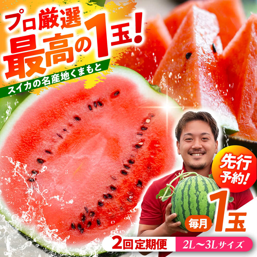 【ふるさと納税】【先行予約】 【2回定期便】 大玉スイカ！2L〜3Lサイズ（1玉 約7kg〜9kg）　2種類楽しめる！ 1玉入りを2回お届け！ 【城野農園】[ZFV006]