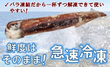 三陸水産 冷凍スルメイカ 約2kg （約1kg×2袋） イカ 刺身 いかの塩辛 いかめし いかげそ イカ焼き フライ いかソーメン 新鮮 海産物 魚介 使いやすい 便利