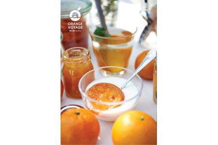 ＜特産品コンクール優秀賞受賞＞屋久島たんかんスライスママレード６個セット