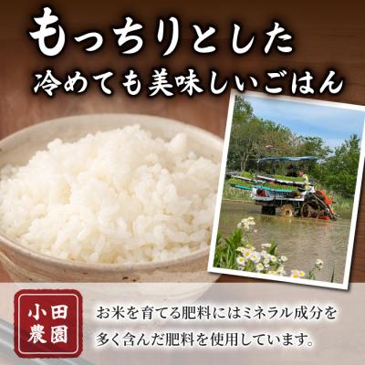 ふるさと納税 東御市 白米8kg(4kg×2袋) 冷めても美味しいコシヒカリ【小田農園】|最短4〜7日程度でお届け |  | 01