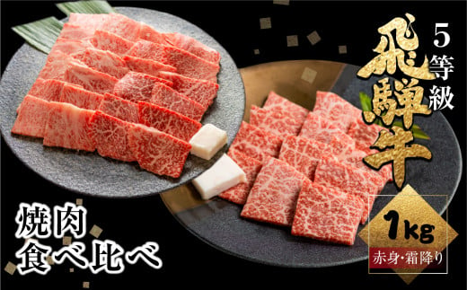 飛騨牛ロース・うでもも食べ比べセット 計1kg(250g×4) 焼肉用 BBQ 国産牛 国産 牛肉 肉 厳選 熟成 贈答用 肉の沖村