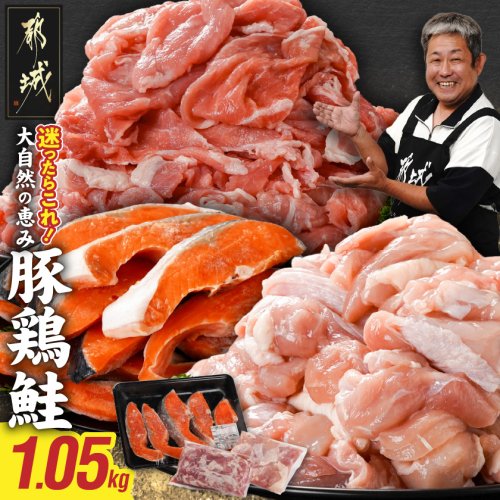 ≪肉×魚≫小分け3種セット(豚切り落とし250g・鶏モモカット済300g・銀鮭500g)_AA-8413