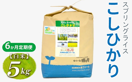 【定期便6か月】【新米】令和8年産 6か月毎月届く！スプリングライス こしひかり (白米) 5kg | 定期便 こめ 米 コメ 白米 白飯 精米 コシヒカリ 茨城県産 国産 茨城県 古河市 こだわり おいしい 2026年産 ※2026年9月～発送_FN16