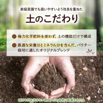 ふるさと納税 四万十町 初心者も安心「並盛り」パクチー栽培キット |  | 01