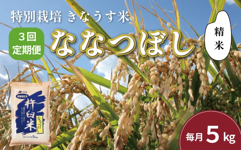 
            【精米3ヶ月定期便】特別栽培「きなうす米」ななつぼし5kg×3回　J031
          