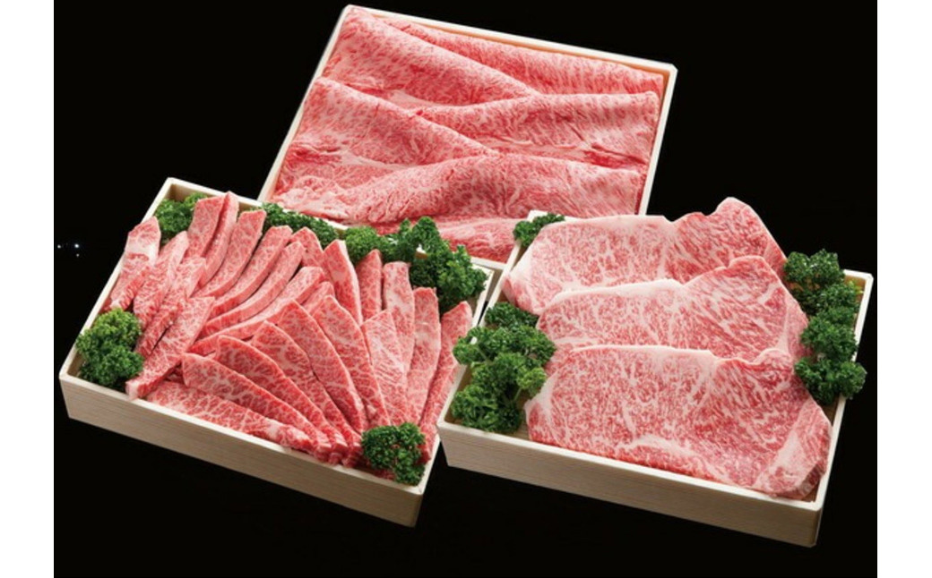 神戸牛 すき焼き 焼肉 ロースステーキ フルコースセット（2.9kg）(TY-FC20)/ 牛肉 霜降り 但馬牛 黒毛和牛 和牛 国産牛 肩 モモ ロース 焼き肉 ステーキ肉 すき焼き肉 神戸ビーフ 