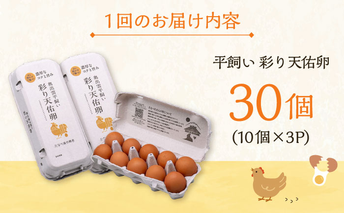 【全9回定期便】黄身の濃厚なコクと白身の甘み！たたらの里平飼い 彩り天佑卵 30個入り（10個×3P）たまご 卵 放牧卵 島根県雲南市/株式会社たなべたたらの里（たなべ森の鶏舎） [AIDL004]