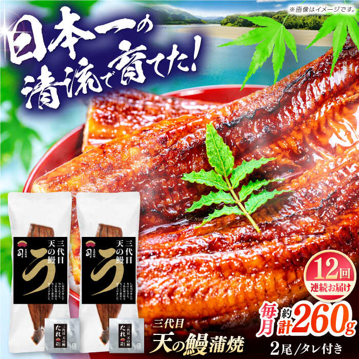【ふるさと納税】【12回定期便】土佐料理司 三代目天の 鰻 蒲焼 2尾 セット 高知市 春野町産 【株式会社土佐料理司】[ATAD062] レンチン 蒲焼き かば焼き たれ うなぎ ウナギ 小分け 個包装 パック 冷凍 国産 レンジ レンジでチン おかず 簡単調理 調理済 時短 温めるだけ