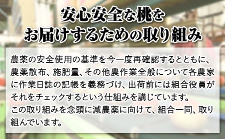 【先行予約】あら川の桃約2kg(6-8玉) あら川第一桃生産組合《2026年6月下旬から8月下旬頃出荷》｜桃 もも モモ フルーツ 果物 白鳳 清水白桃 川中島白桃  和歌山県産の桃 紀の川市の桃 和