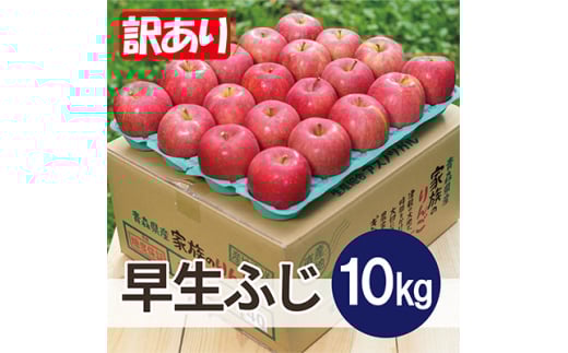 ＜25年11月より順次発送＞平均糖度13度以上! 早生ふじ 約10kg 訳あり【1611789】