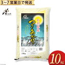 【ふるさと納税】【期間限定発送】 米 令和6年 つきあかり 精米 10kg [中橋商事 石川県 宝達志水町 38600963] お米 コメ 白米 ごはん 美味しい 石川 感想