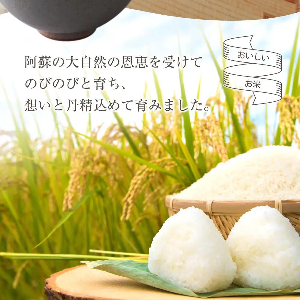 特別栽培米 コシヒカリ 約30kg×1（玄米）阿蘇アグロスタイル  米 ごはん 人気 美味しい 甘味 もちもち なめらか 減農薬 湧水 熊本県 阿蘇市